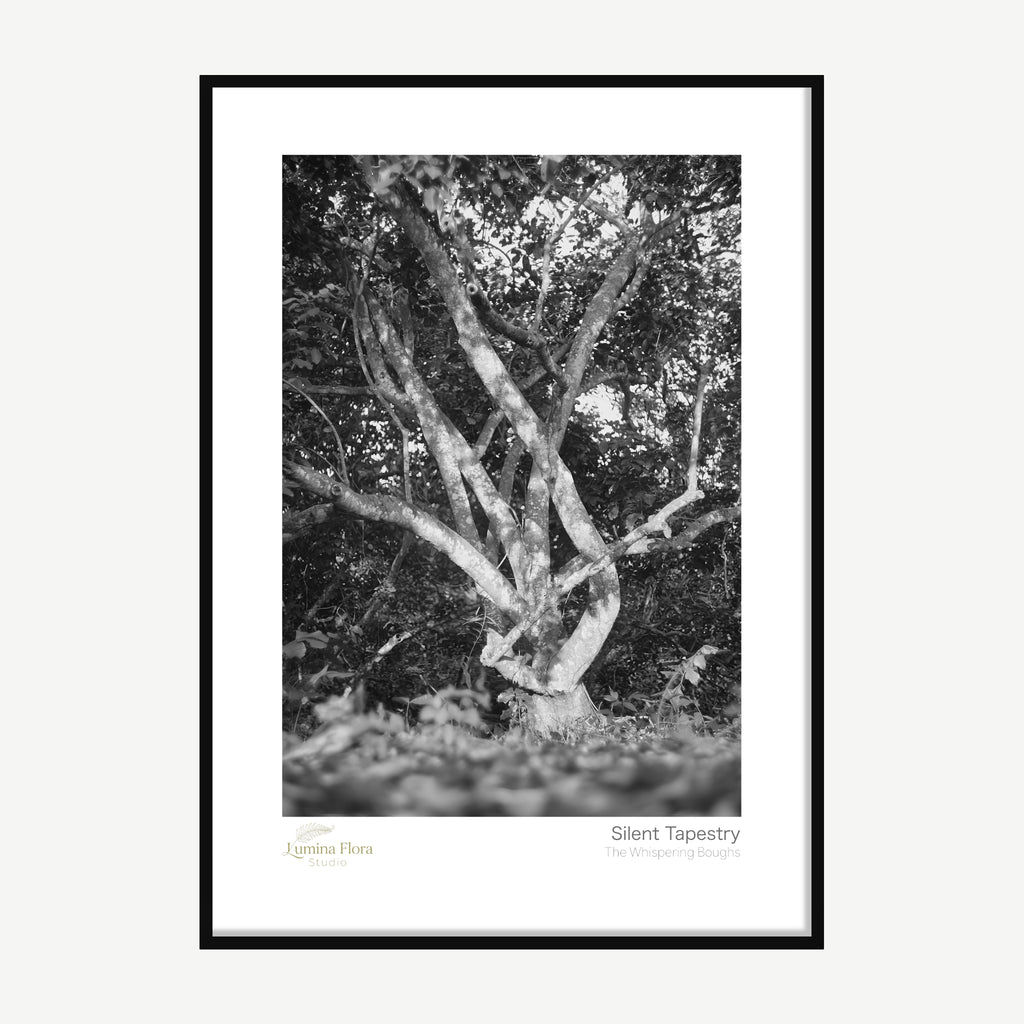 Framed print: black and white intertwined tree branches against the canopy, black wood frame