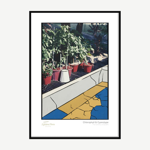Framed print: pop art potted plants with Ben-Day dots and bold lines, black wood frame