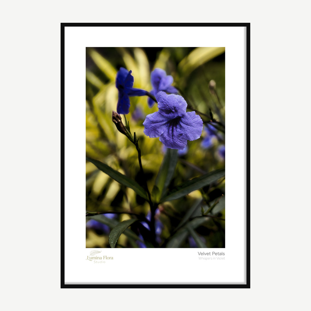 Framed print: close-up of purple flowers on a gold and green background, black wood frame