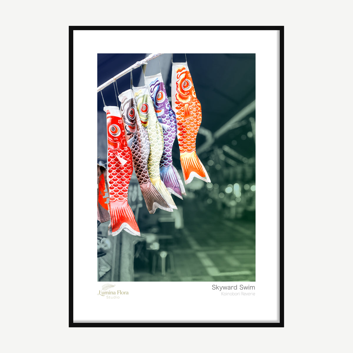 Framed print: colourful Japanese carp streamers against a grey sky, black wood frame