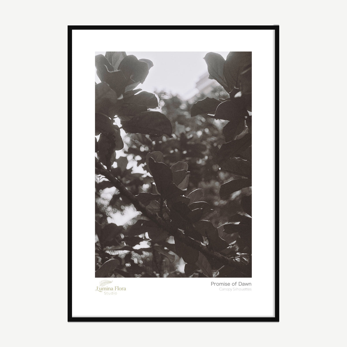 Framed print: black and white silhouette of tropical leaves against soft light, black wood frame