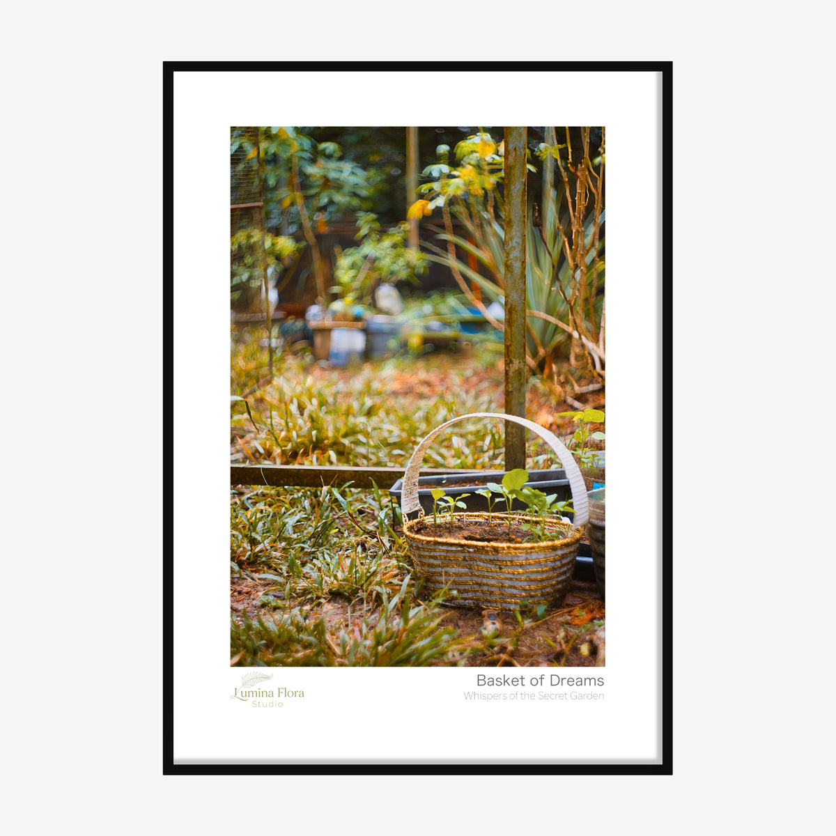 Framed print: woven basket of seedlings in grass with golden light, black wood frame