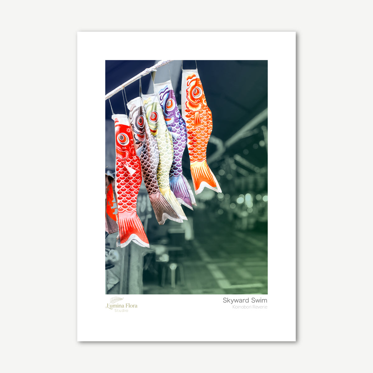 Unframed print: Japanese carp streamers in selective colour, white gallery border