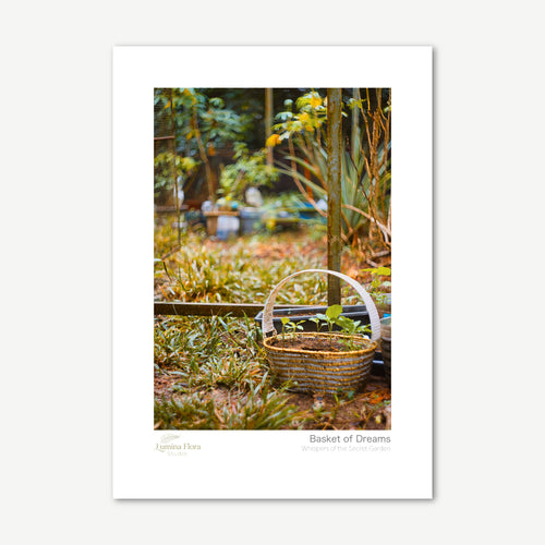 Unframed print: woven basket of seedlings in grass, white gallery border