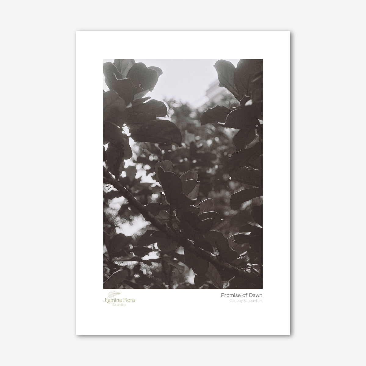 Unframed print: black and white tropical leaf silhouettes, white gallery border