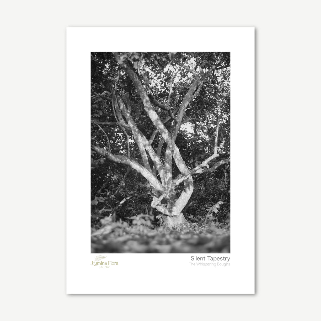 Unframed print: black and white intertwined tree branches, white gallery border