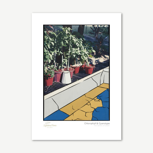 Unframed print: pop art potted plants with Ben-Day dots, white gallery border